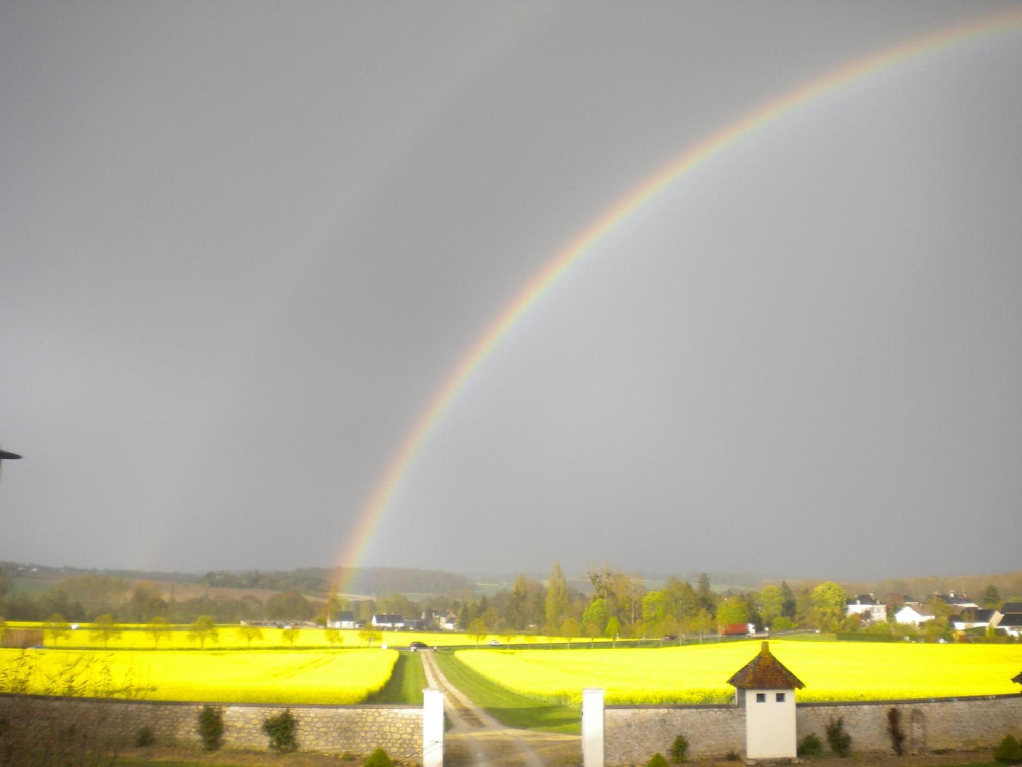 Domaine De La Maison Neuve Saint-Jean-Saint-Germain Dış mekan fotoğraf