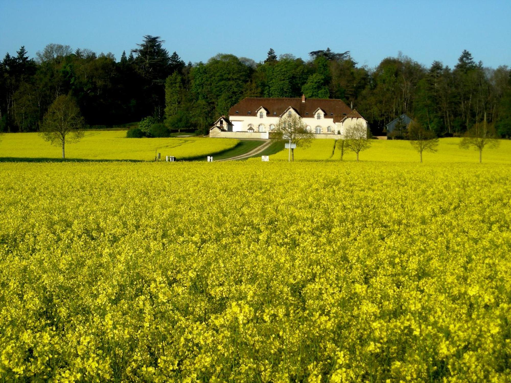 Domaine De La Maison Neuve Saint-Jean-Saint-Germain Dış mekan fotoğraf