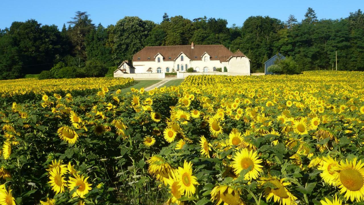 Domaine De La Maison Neuve Saint-Jean-Saint-Germain Dış mekan fotoğraf