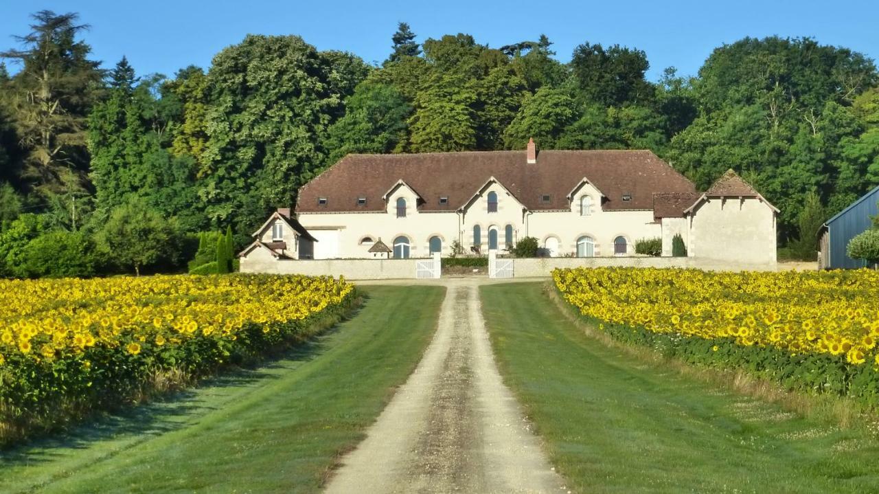 Domaine De La Maison Neuve Saint-Jean-Saint-Germain Dış mekan fotoğraf